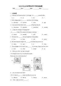 2023年山东省青岛市中考英语真题（含解析）