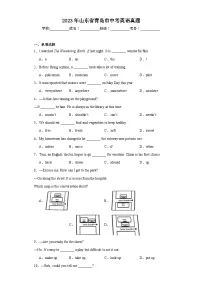 2023年山东省青岛市中考英语真题（含解析）