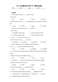 2023年安徽省宿州市中考二模英语试题（含解析）