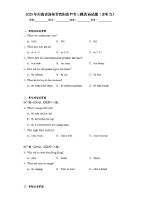 2023年河南省洛阳市宜阳县中考三模英语试题（含解析）