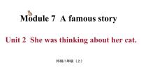 外研版 (新标准)八年级上册Unit 2 She was thinking about her cat.评课课件ppt