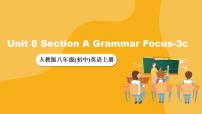 初中英语人教新目标 (Go for it) 版八年级上册Section A优秀ppt课件