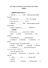 初中英语冀教版八年级上册Lesson 4 Best Friends精品同步达标检测题