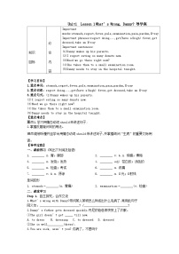 冀教版九年级上册Lesson 13 Be Careful,Danny!优质学案及答案