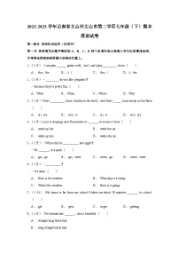 云南省文山州文山市第二学区2022-2023学年七年级下学期期末英语试卷（含答案）