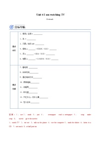 初中英语人教新目标 (Go for it) 版七年级下册Section A精品当堂检测题