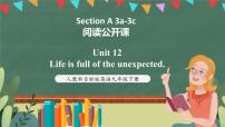 人教新目标 (Go for it) 版九年级全册Unit 12 Life is full of the unexpectedSection A精品ppt课件