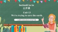人教新目标 (Go for it) 版九年级全册Unit 13 We’re trying to save the earth!Section B精品课件ppt