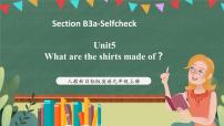 初中英语人教新目标 (Go for it) 版九年级全册Section B精品课件ppt