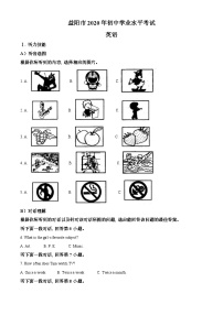 湖南省益阳市2020年中考英语试题（含解析）