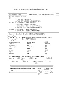 人教新目标 (Go for it) 版Section B教学设计及反思