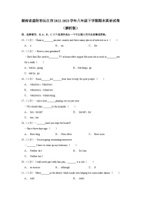 湖南省益阳市沅江市2022-2023学年八年级下学期期末英语试卷