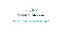 外研版 (新标准)九年级上册Unit 1 Don’t cross that rope!教学ppt课件