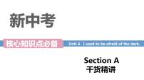 人教新目标 (Go for it) 版九年级全册Section A课文课件ppt