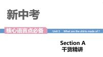 人教新目标 (Go for it) 版九年级全册Section A课文配套课件ppt