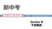 初中英语人教新目标 (Go for it) 版九年级全册Section B教案配套ppt课件