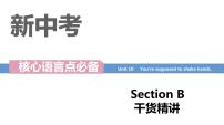 初中英语人教新目标 (Go for it) 版九年级全册Section B示范课课件ppt