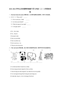 山东省淄博市高新片区2023-2024学年七年级上学期入学英语试卷