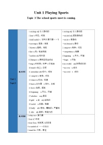 【期中单元考点讲练】（仁爱版）2023-2024学年八年级上册英语Unit 1 Topic 3考点讲练试卷