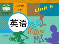 初中英语人教新目标 (Go for it) 版八年级上册Section A作业ppt课件