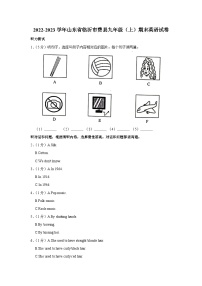 山东省临沂市费县2022-2023学年九年级上学期期末英语试卷