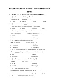 湖北省黄冈市武穴市2022-2023学年八年级下学期期末英语试卷+