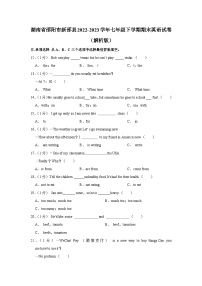 湖南省邵阳市新邵县2022-2023学年七年级下学期期末英语试卷+