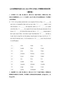 山东省聊城市冠县2022-2023学年七年级上学期期末英语试卷+