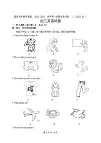 江苏省苏州市吴江区盛泽初中教育集团2023-2024学年九年级上学期有效评估1英语试卷（月考）