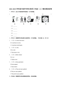 四川省泸州市江阳区2022-2023学年八年级上学期期末考试英语试题