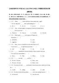 云南省普洱市宁洱县2022-2023学年九年级上学期期末英语试卷