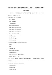 2022-2023学年山东省淄博市张店区八年级上学期期中英语试卷（五四学制）（含解析）