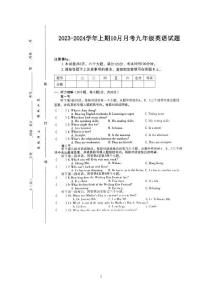 河南省驻马店市泌阳县2023-2024学年九年级上学期10月月考英语试题