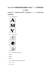 湖南省娄底市涟源市2023-2024学年七年级上学期10月份月考英语试卷