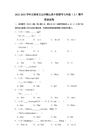 2022-2023学年云南省文山州砚山县十校联考七年级上学期期中英语试卷（含答案解析）