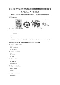 2022-2023学年山东省聊城市江北水城旅游度假区北大培文学校七年级上学期期中英语试卷（含答案解析）