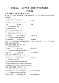 河南省洛阳市汝阳县2022-2023学年九年级上学期期中考试英语试题