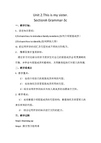 初中英语Section A教案