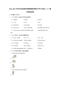 2022-2023学年河北省保定市雄安雄东海岳中学七年级上学期期中英语试卷（含答案解析）