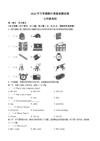 湖南省岳阳市临湘市2022-2023学年七年级上学期期中质量检测英语试题