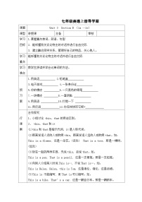 初中英语人教新目标 (Go for it) 版七年级上册Section B学案