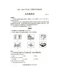 山东省临沂市费县2023-2024学年九年级上学期11月期中英语试题