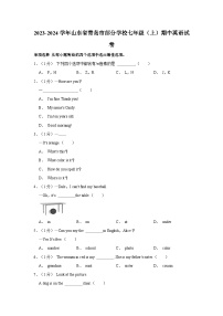 山东省青岛市部分学校2023-2024学年七年级上学期期中英语试卷