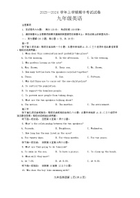 河南省新乡市2023-2024学年九年级上学期11月期中英语试题