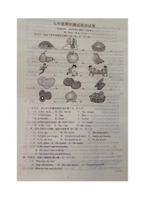 辽宁省辽阳市第二中学协作校2023-2024学年七年级上学期期中考试英语试题