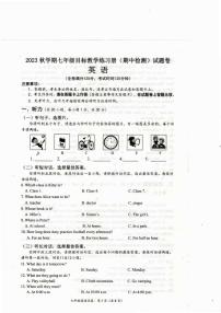 广西壮族自治区梧州市苍梧县2023-2024学年七年级上学期11月期中英语试题