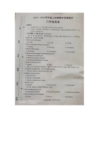 河南省驻马店市平舆县2023-2024学年八年级上学期11月期中英语试题