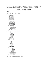 浙江省温州市平阳县苏步青学校、平阳实验中学2023-2024学年七年级上学期期中英语试卷