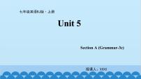 初中英语人教新目标 (Go for it) 版七年级上册Unit 5 Do you have a soccer ball?Section A授课课件ppt