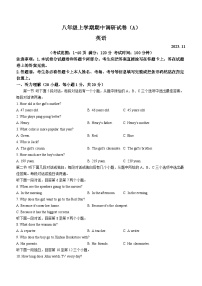 河南省安阳市滑县2023-2024学年八年级上学期期中英语试题